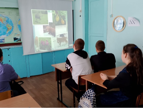 Всемирный день дикой природы.